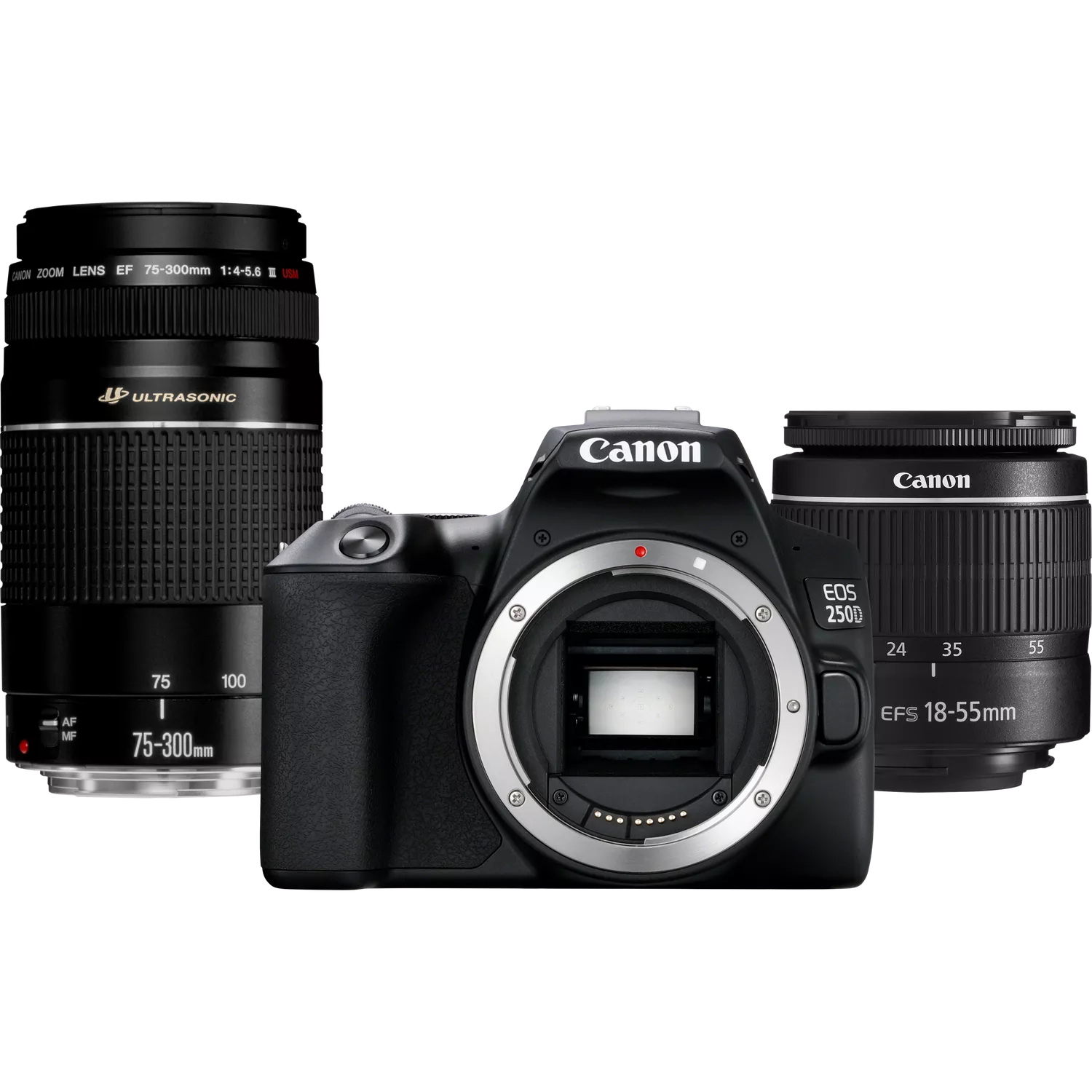 Canon EOS 250D, Black + EF-S 18-55mm f/3.5-5.6 III+ EF 75-300mm f/4-5.6 III Lens Canon