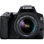 Canon EOS 250D, Black + EF-S 18-55mm f/3.5-5.6 III+ EF 75-300mm f/4-5.6 III Lens Canon