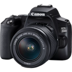 Canon EOS 250D, Black + EF-S 18-55mm f/3.5-5.6 III+ EF 75-300mm f/4-5.6 III Lens Canon