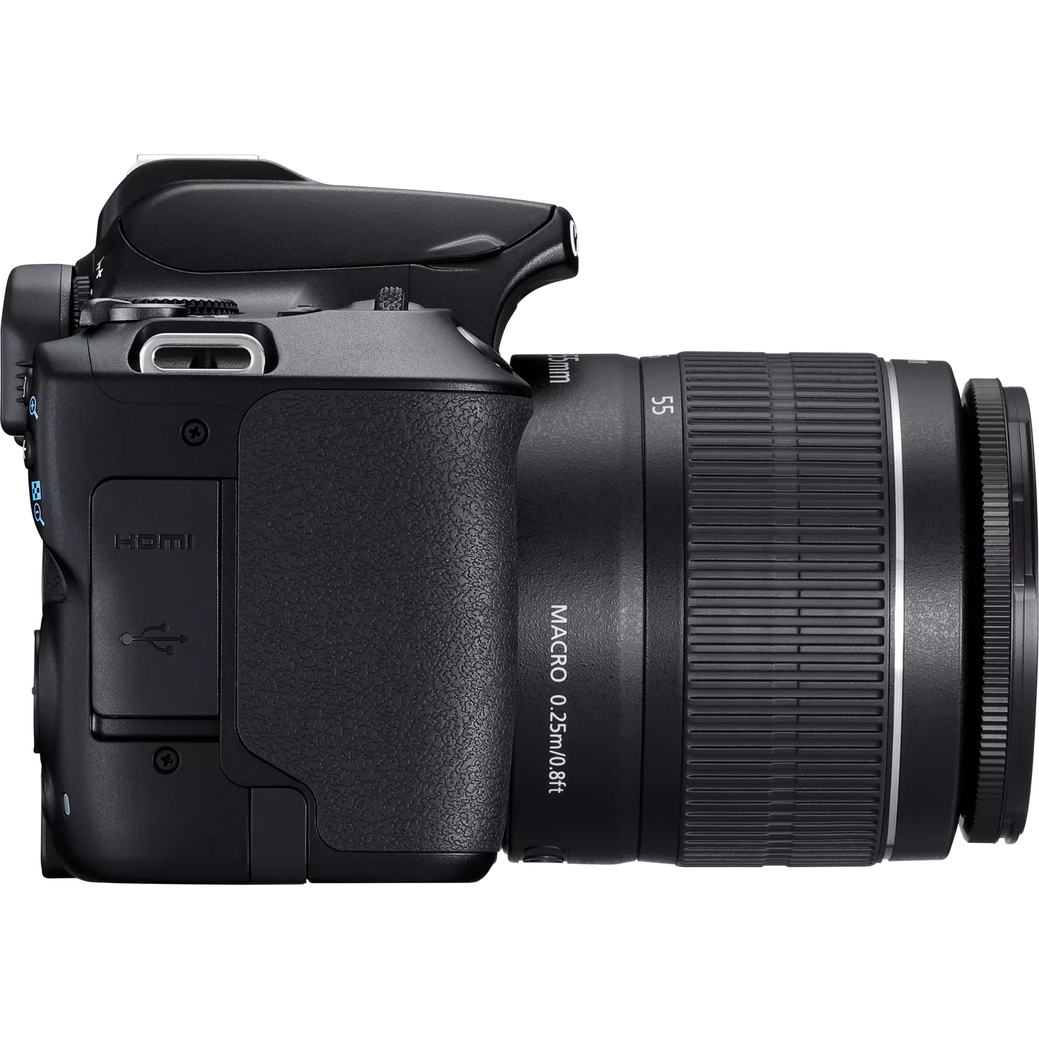 Canon EOS 250D, Black + EF-S 18-55mm f/3.5-5.6 III+ EF 75-300mm f/4-5.6 III Lens Canon