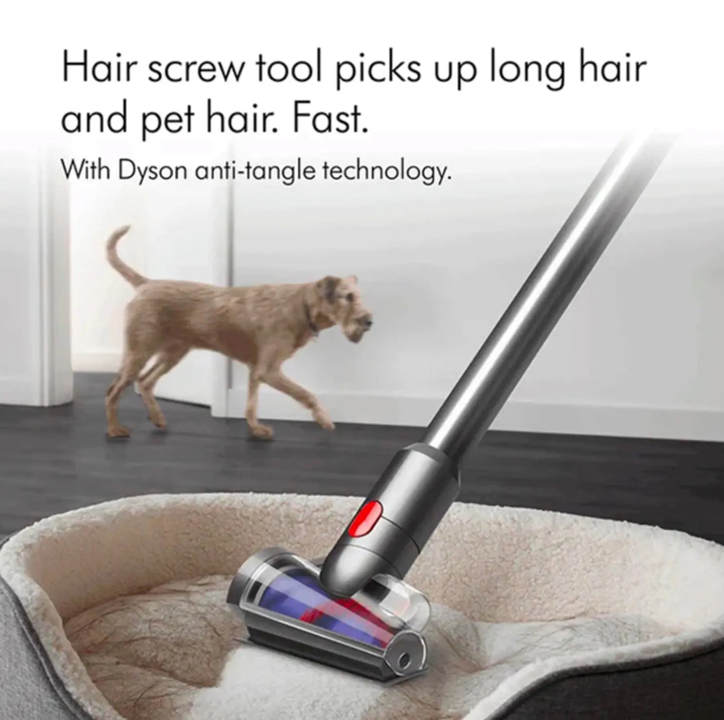 Dyson V12 Detect™ Slim Absolute vacuum Dyson