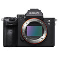 Sony Alpha 7 III Mirrorless Camera Body Sony