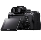 Sony Alpha 7 III Mirrorless Camera Body Sony