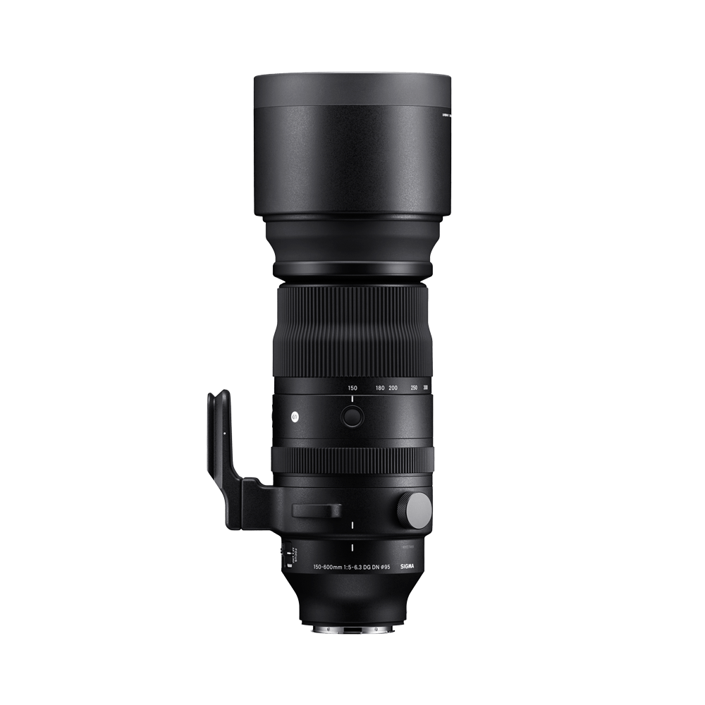 Sigma 150-600mm F5-6.3 DG DN OS | Sport Lens (for Sony E-Mount) Sigma