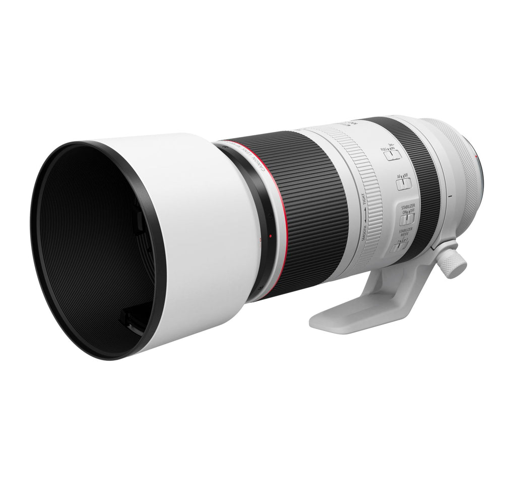Canon RF 100-500mm F4.5-7.1 L IS USM Canon