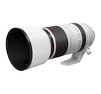 Canon RF 100-500mm F4.5-7.1 L IS USM Canon