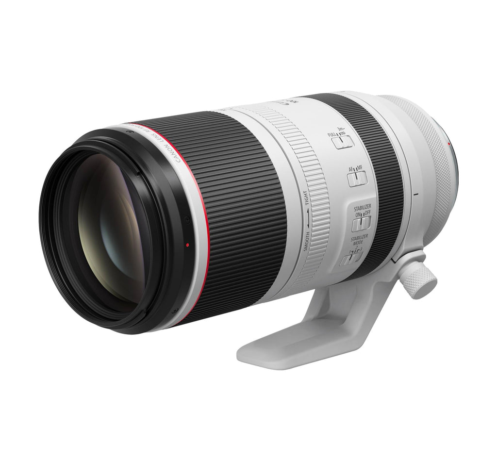 Canon RF 100-500mm F4.5-7.1 L IS USM Canon