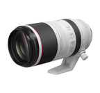 Canon RF 100-500mm F4.5-7.1 L IS USM Canon